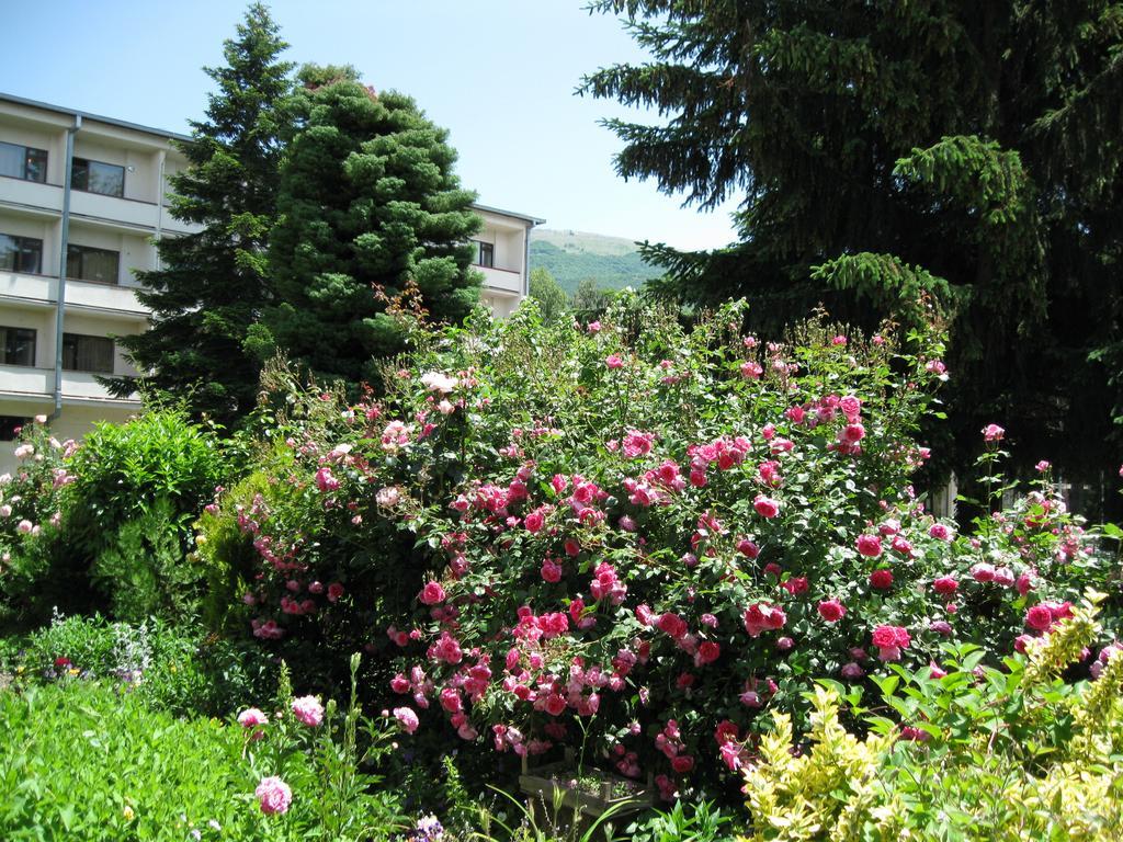 Villa Jordan Ohrid Exterior photo